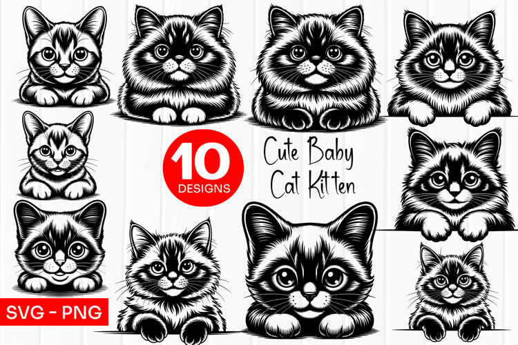 Cute Baby Kitten Clipart SVG PNG
