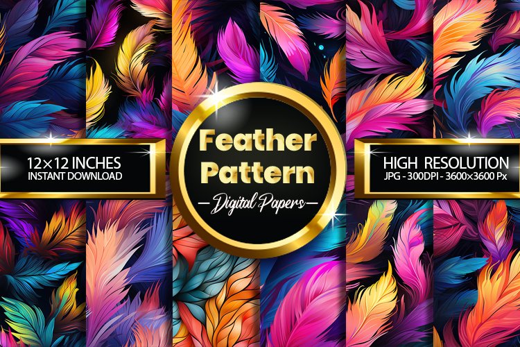 Feather Clipart Image 24