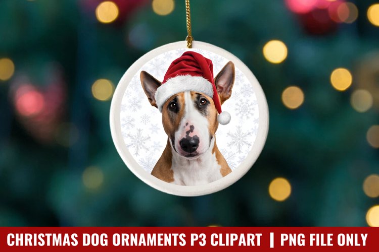 Christmas Ornaments Clipart Image 23