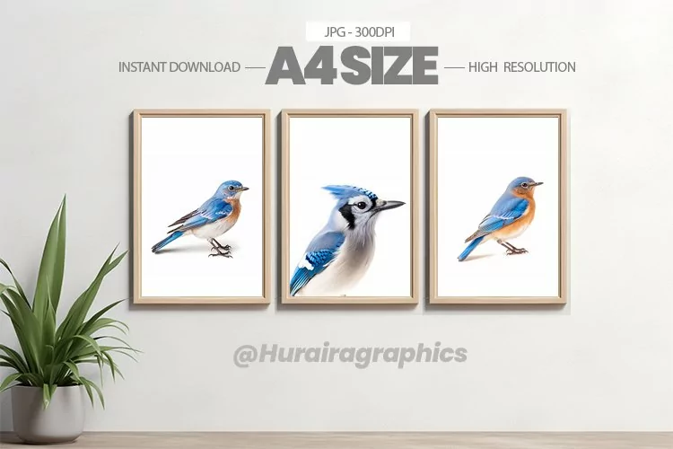 Bird Wall Art - 03 Variations