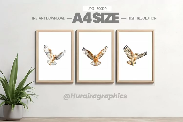 Animal Wall Art - 03 Variations
