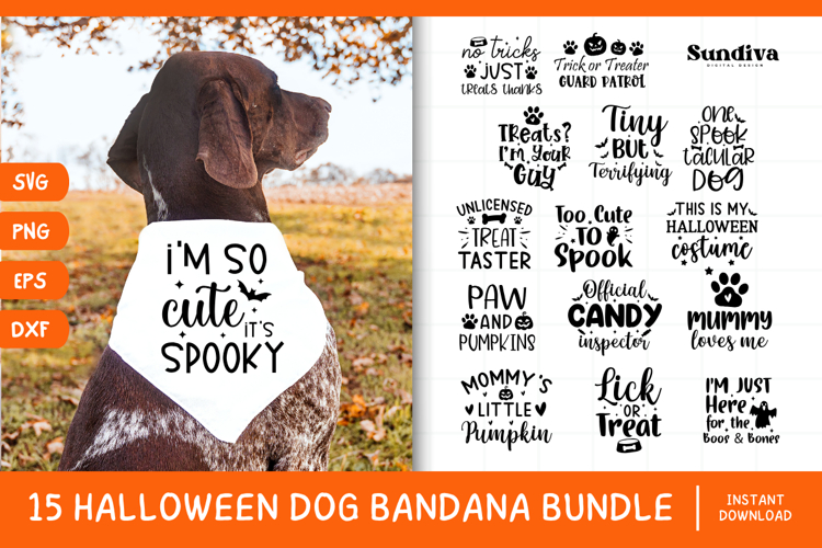 15 Funny Halloween Dog Bandana Quote SVG Bundle V1