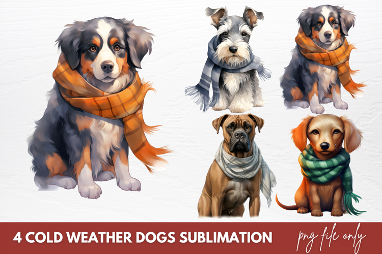 Cold Weather Clipart Image 7