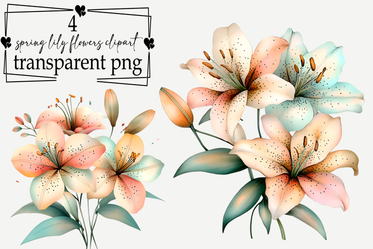 Whimsical Spring Lily Flowers Clipart Watercolor PNG