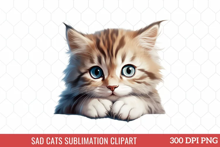 Sad Cats Sublimation Clipart