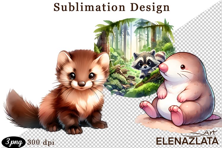 Animal clipart, Cute baby Watercolor clipart