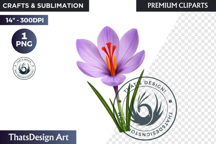 Flower Clipart PNG, Botanical Illustration Floral graphic