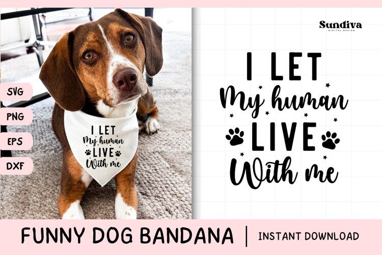 Funny Dog Bandana Quotes SVG | I Let My Human Live With Me