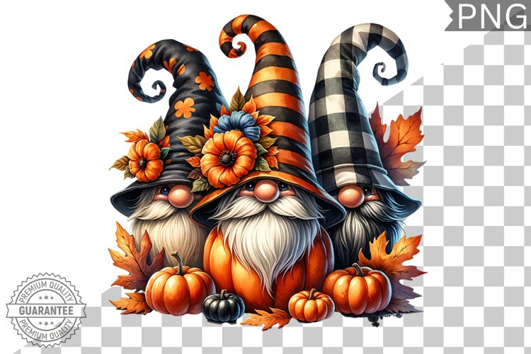 Gnome Clipart Image 11