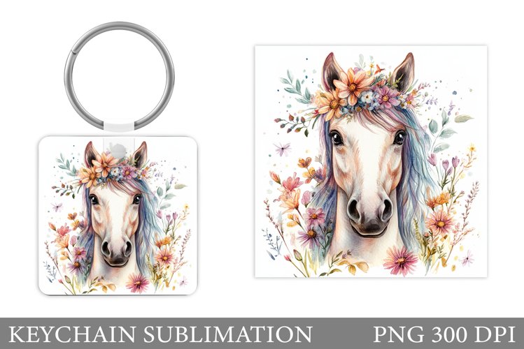 Cute Horse Pictures Image 12