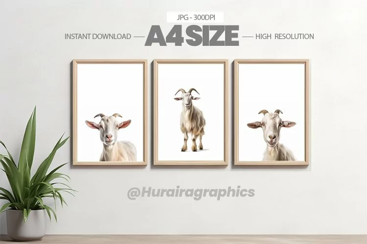 Animal Wall Art - 03 Variations