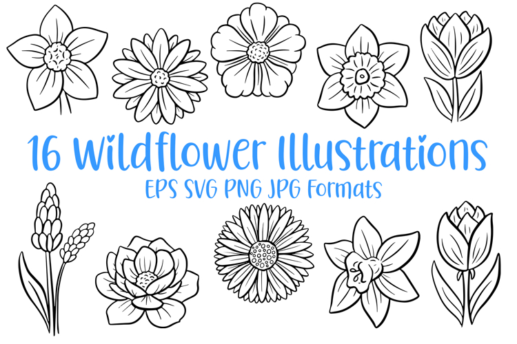 16 Wildflower Flower Illustration Floral Clipart SVG PNG