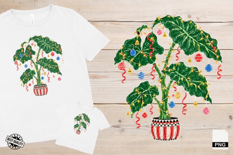 Christmas Houseplants PNG example image 1