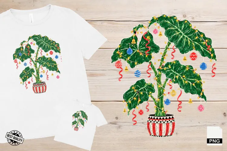 Christmas Houseplants PNG