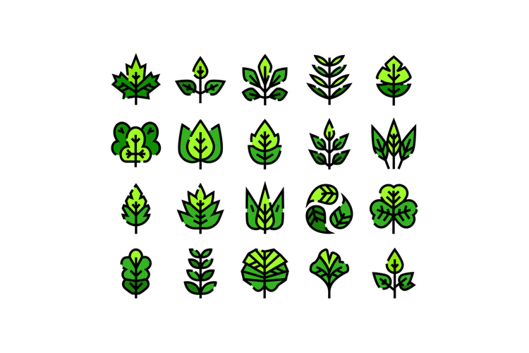 Leaf Icon Image 24