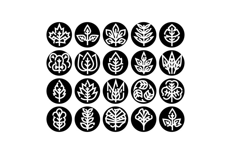 Leaf Graphic Image 10