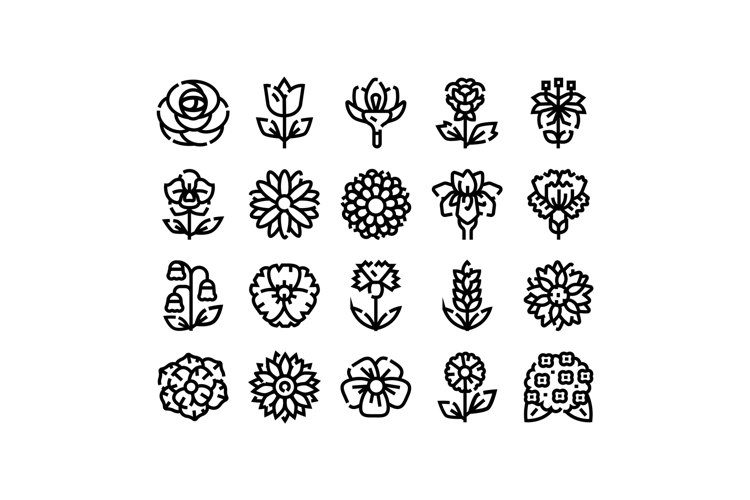 Nature Icon Image 21