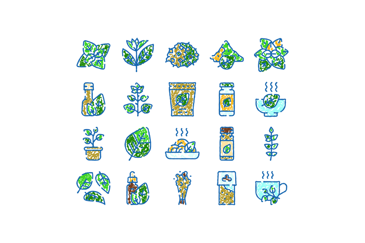 Basil herb leaves product cooking ingredient icons