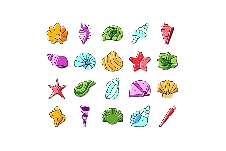 Ocean seashells and starfishes marine life collection