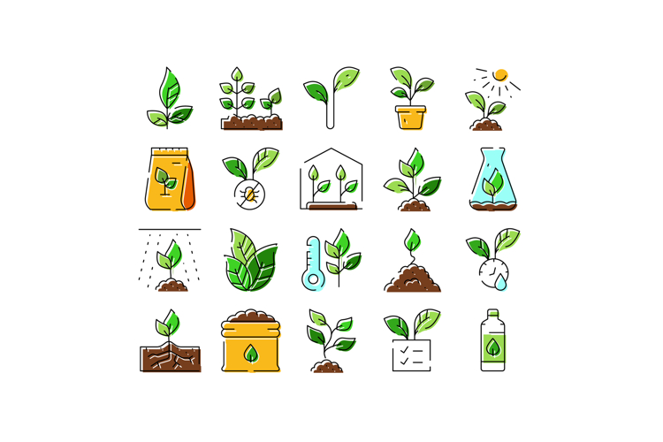 Nature Icon Image 11