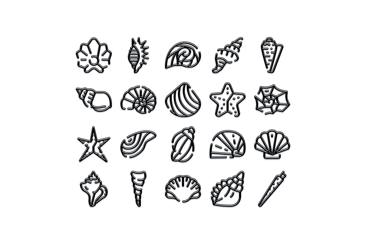 Starfish Illustration Image 18