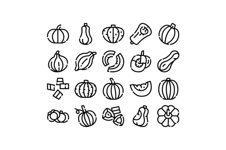 Autumn harvest pumpkin and squash line art icons