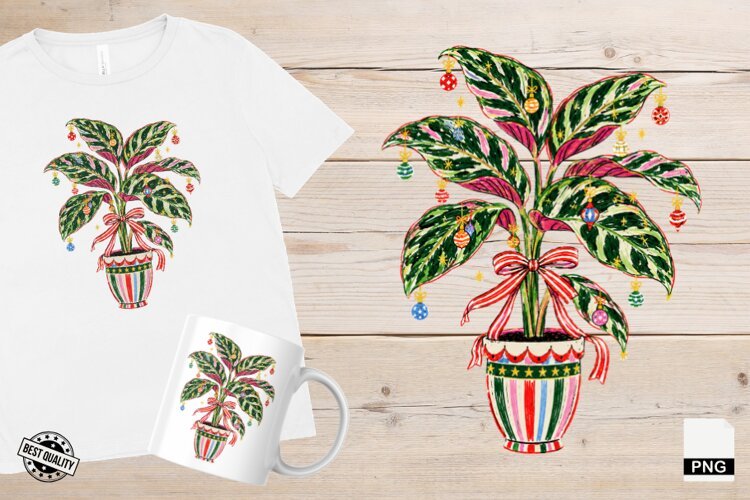 Christmas Houseplants PNG example image 1