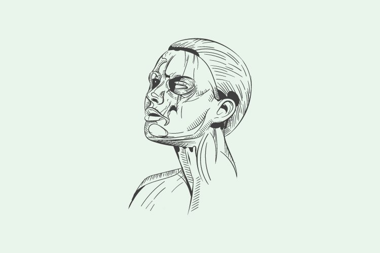 Abstract line vector face human - Eps 10 example image 1