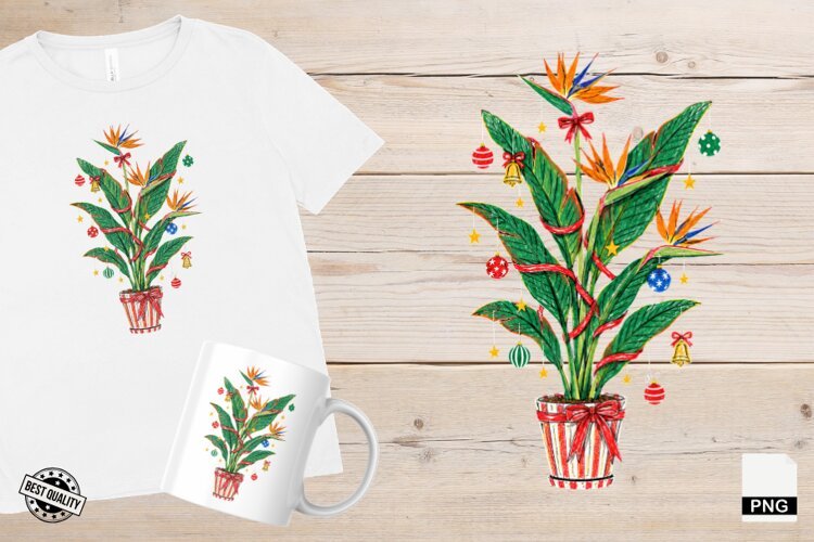 Christmas Houseplants PNG example image 1