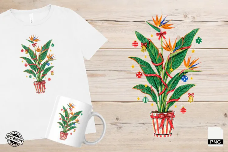 Christmas Houseplants PNG