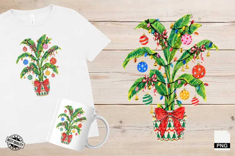 Christmas Houseplants PNG