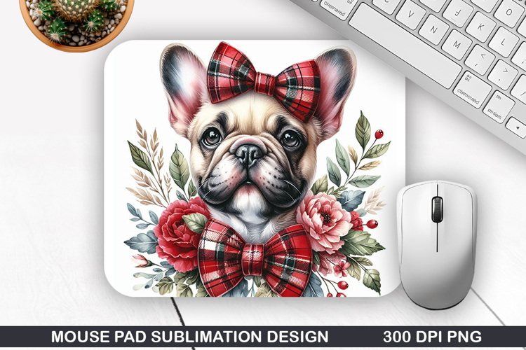 Cute Animal Cartoon
