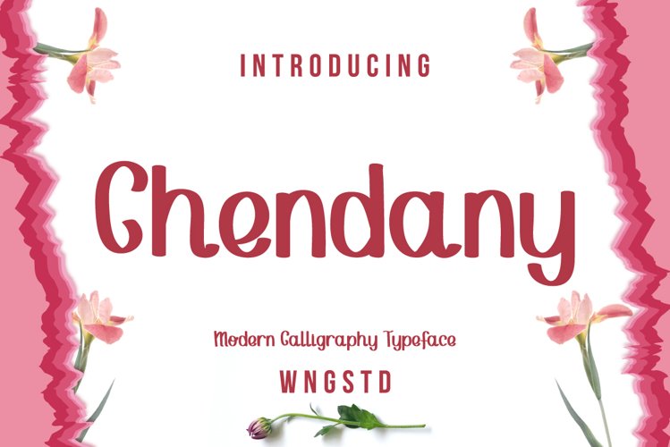 Chendany - Modern Script typeface example image 1