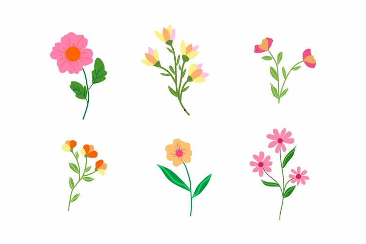 Flower Collection