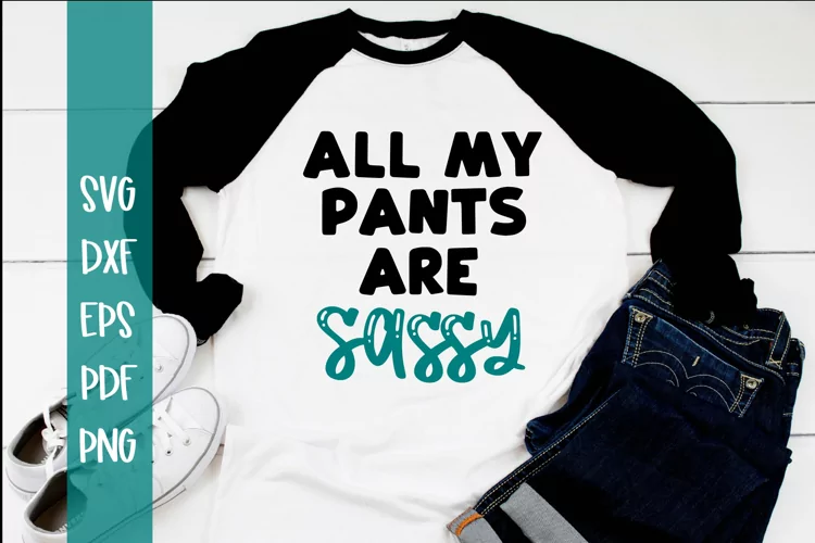 Sassy SVG / Cut file / Sarcastic SVG / Funny SVG