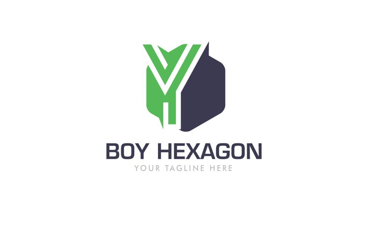 Y Letter Logo In Hexagon example image 1