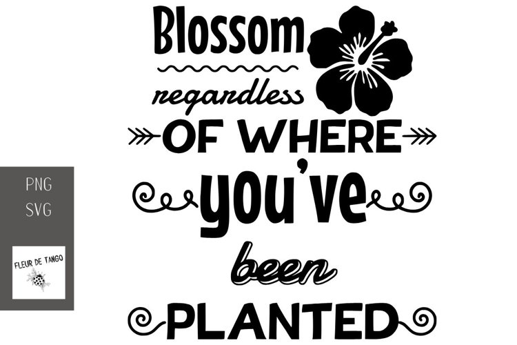 Funny Sublimation Designs Image 10