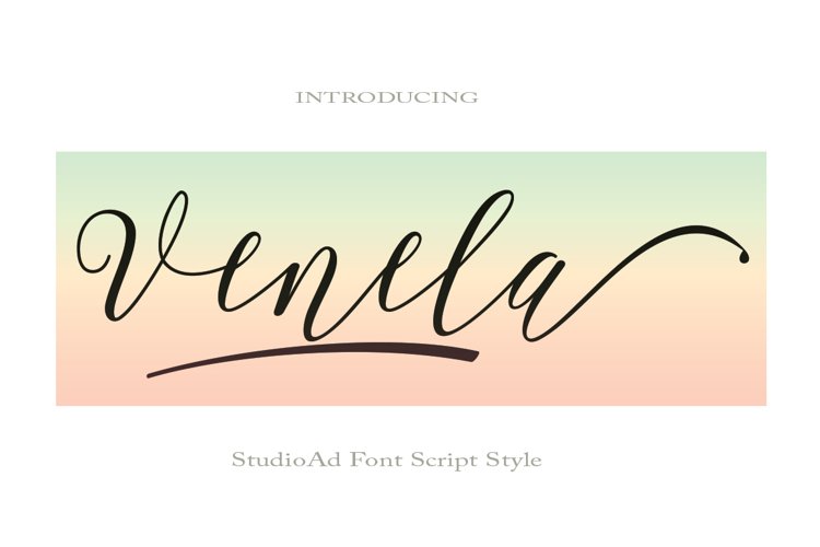 Venela example image 1