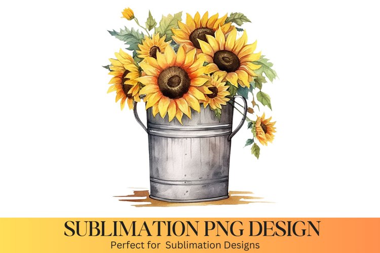 Sunflower PNG Image 10