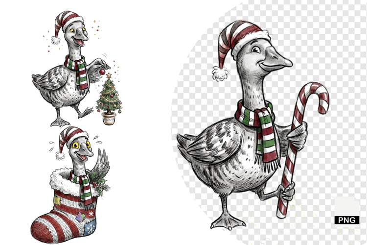 Goose Illustration Image 21