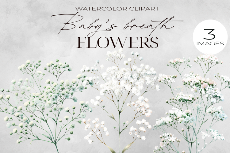 Watercolor Flower Clipart Image 23