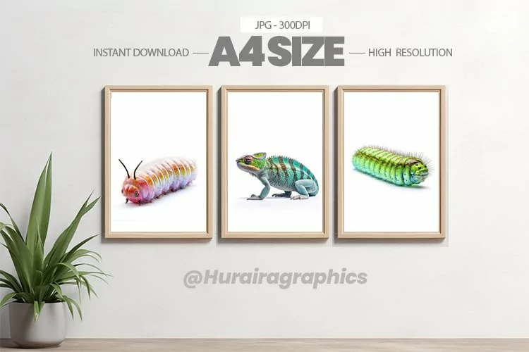 Animal Wall Art - 03 Variations