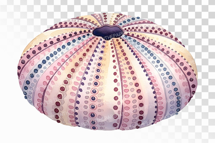 Kawaii Clipart Image 9