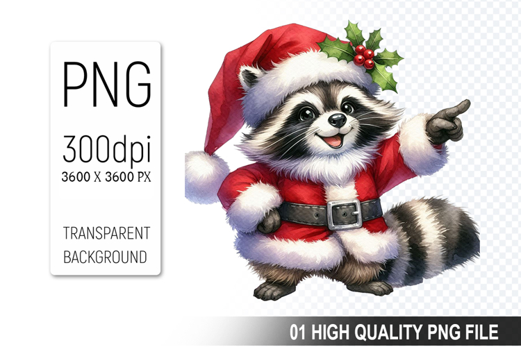 Raccoon Illustration Image 21