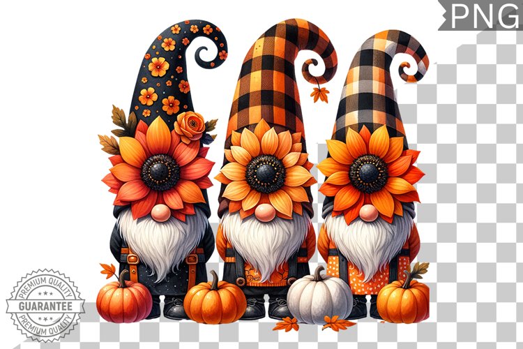Gnome Clipart Image 9
