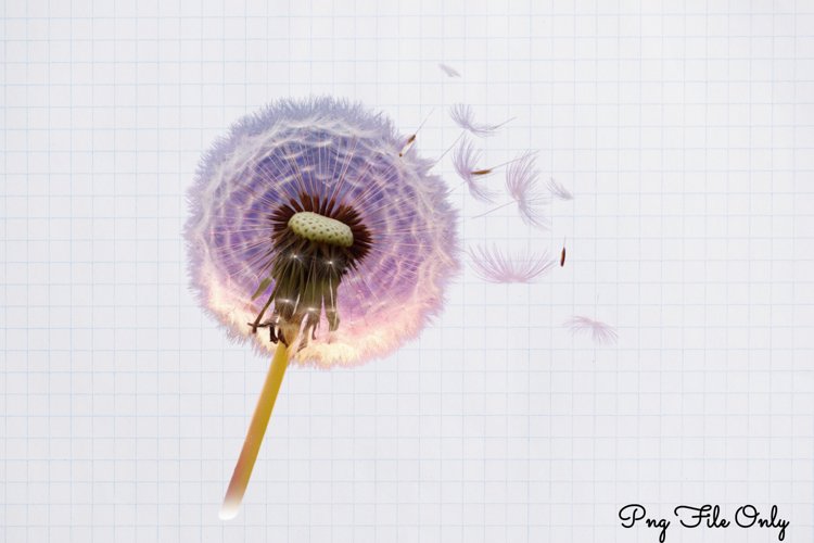 Boho Clipart Image 6