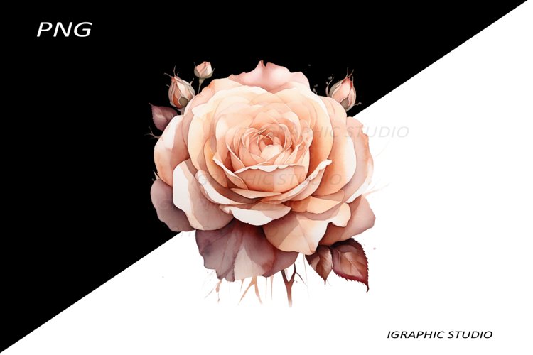 Mothers Day Card Image 2