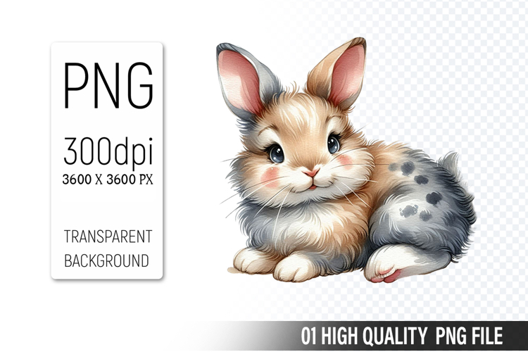 Animal Graphics Image 10