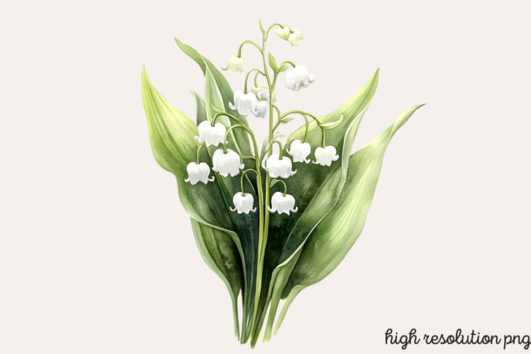 Boho SVG Image 3