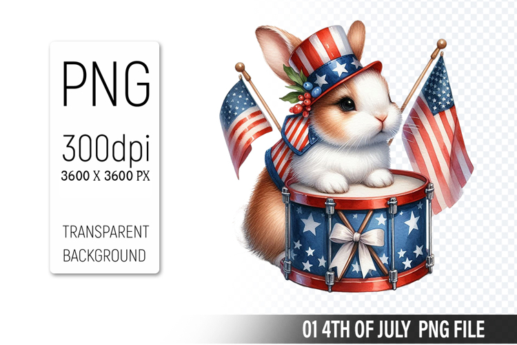 American Flag Png Image 4